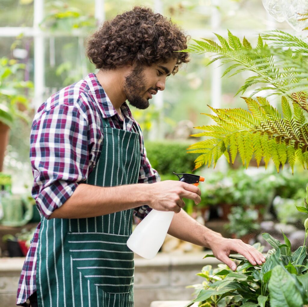 Male gardener spraying water on plants